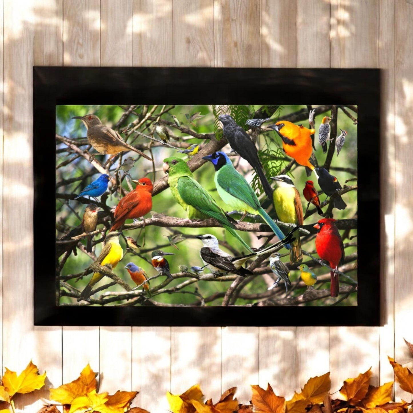 Puzzle 500 Pièces | Oiseaux -