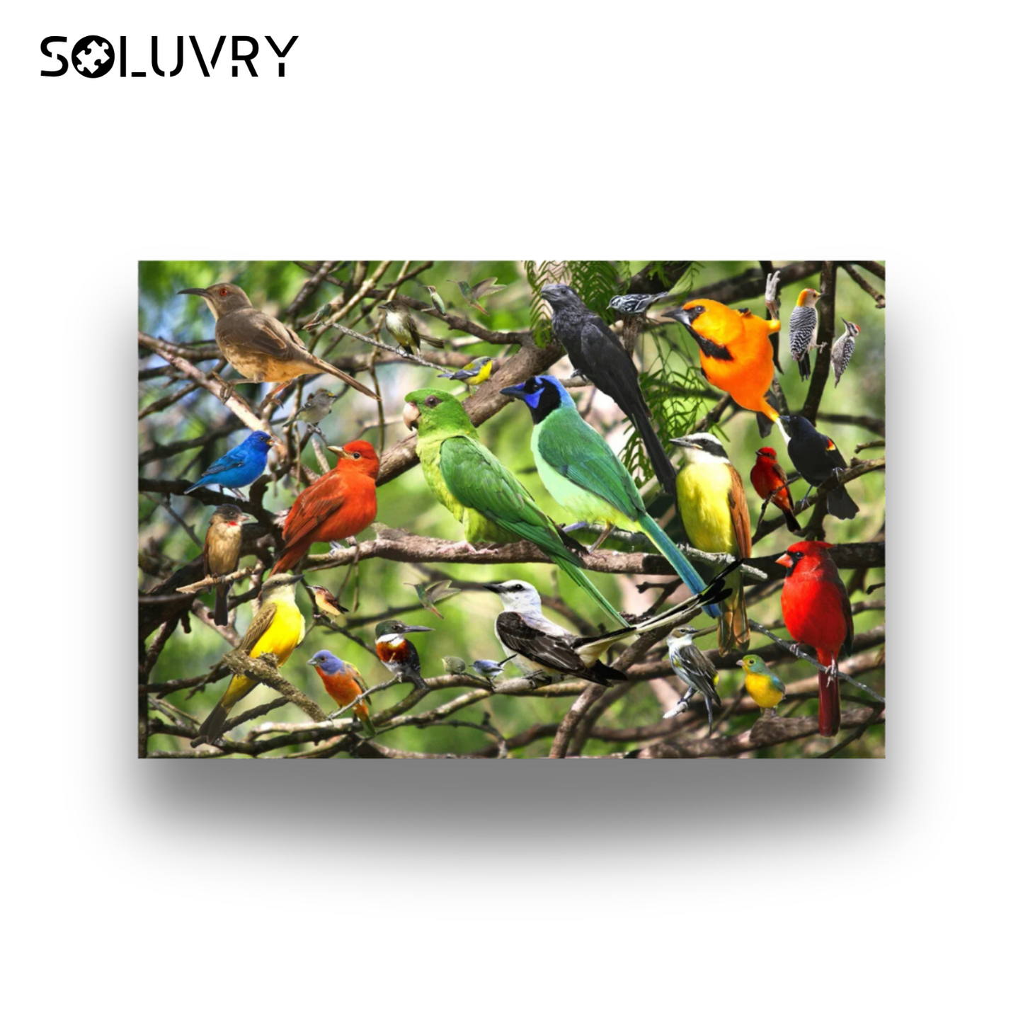 Puzzle 500 Pièces | Oiseaux -